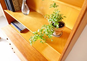 Book shelf by Borge Mogensen