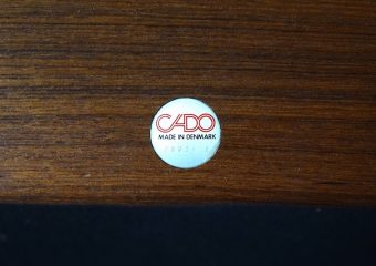 "Senator" by Ole Wanscher