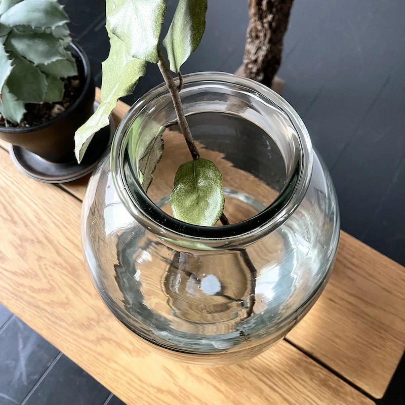 Round glass vase by Madam Stoltz