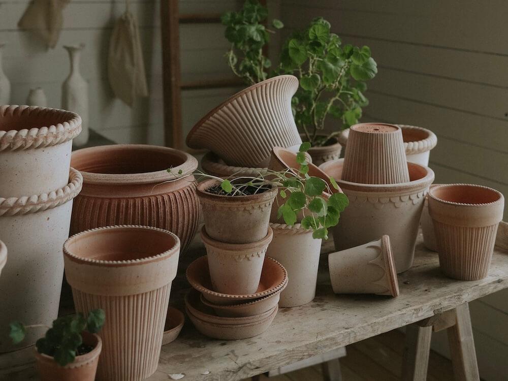 Bergs_Potter_3111_raro_raw_mix_Spring_2026_AK