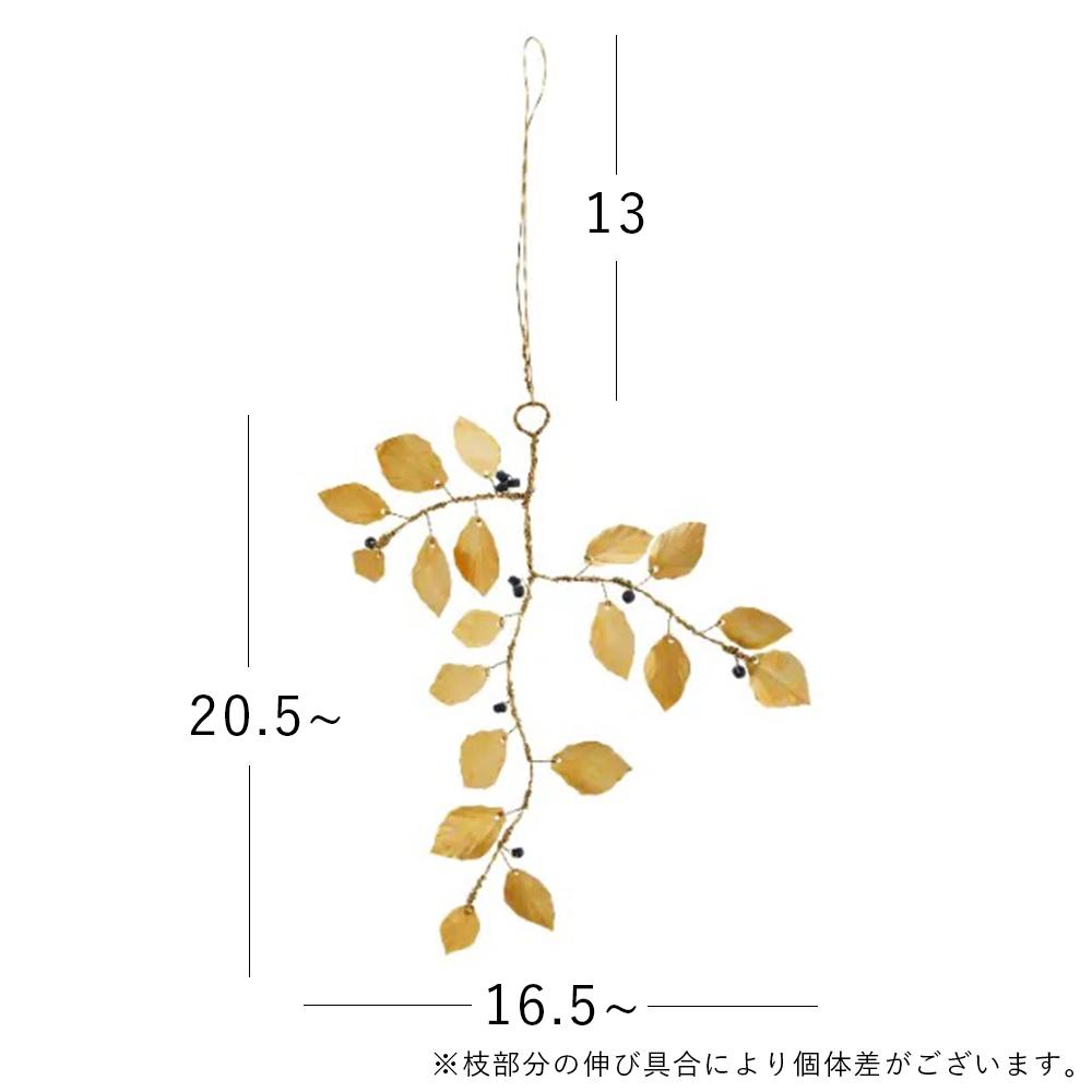 ms65_size